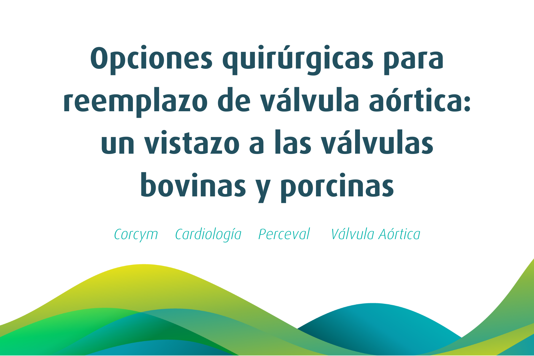 Opciones quirúrgicas para reemplazo de válvula aórtica: un vistazo a las válvulas bovinas y porcinas
